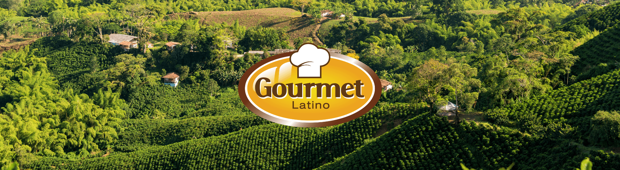 gourmet-latino