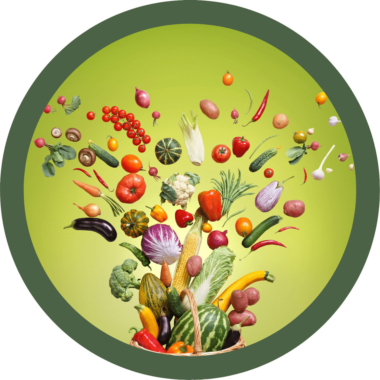 distribución de productos latinos en España, donde comprar productos latinoamericanos online distribuidores de productos hondureños en españa distribuidor de comida latina proveedores de productos latinos al por mayor productos latinos al por mayor en madrid mayorista de productos latinos en barcelona distribuidor de productos latinos en valencia productos latinos cerca de mi