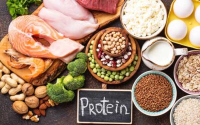 La importancia de la proteína en la alimentación y sus claves